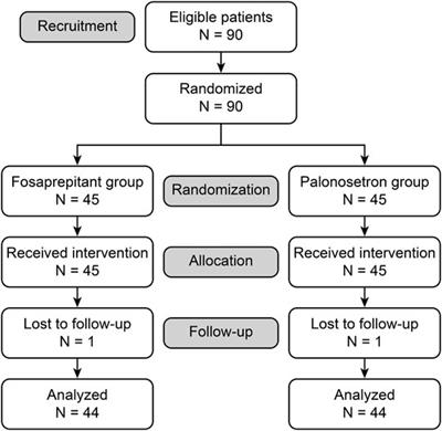 Comparative Study Between Fosaprepitant and Palonosetron in the Prophylaxis of Postoperative Nausea and Vomiting in Women Undergoing Laparoscopic Cholecystectomy: Prospective, Randomized and Double-Blind Study